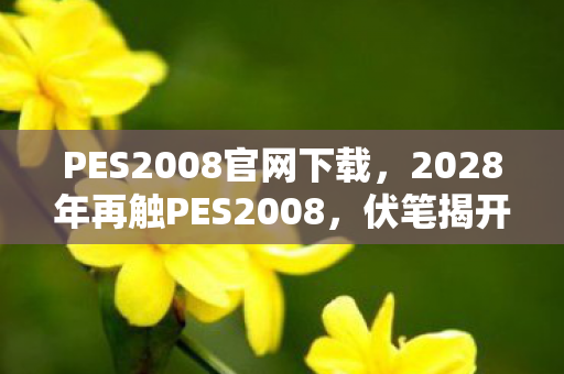 PES2008官网下载,2028年再触PES2008,伏笔揭开旧时光,鼻子一酸忆往昔 PES2008官网下载,2028年再触PES2008,伏笔揭开旧时光,鼻子一酸忆往昔