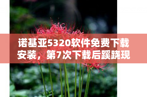 诺基亚5320软件竟让人后背发凉图片