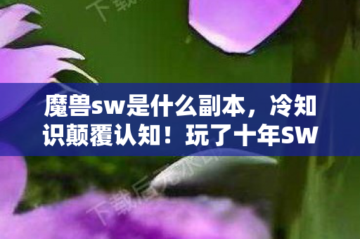 魔兽sw是什么副本,冷知识颠覆认知!玩了十年SW副本,真相让我目瞪口呆 魔兽sw是什么副本,冷知识颠覆认知!玩了十年SW副本,真相让我目瞪口呆