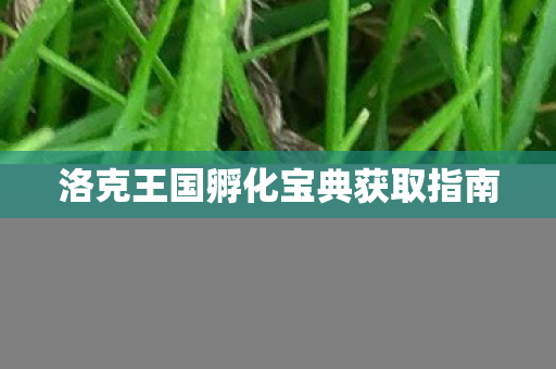 洛克王国孵化宝典获取指南 洛克王国孵化宝典获取指南