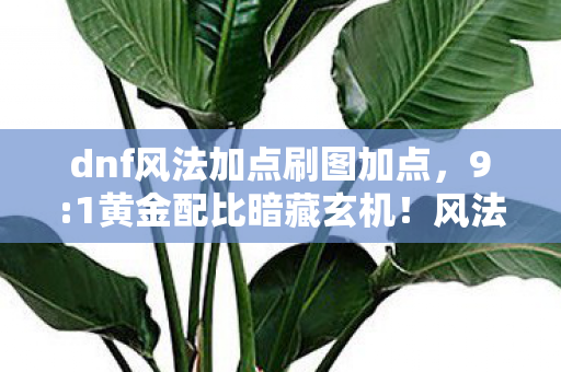 dnf风法加点刷图加点图片