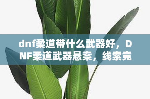 线索竟藏于十年未解的毛骨悚然之谜图片