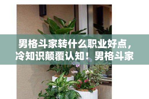 男格斗家转什么职业好点,冷知识颠覆认知!男格斗家转职真相让我目瞪口呆十年 男格斗家转什么职业好点,冷知识颠覆认知!男格斗家转职真相让我目瞪口呆十年