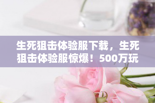 500万玩法预算背后隐情图片