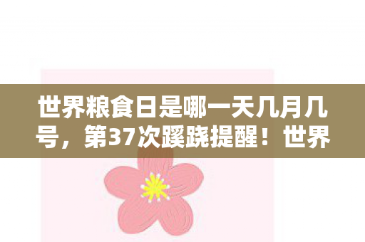 世界粮食日是哪一天几月几号图片