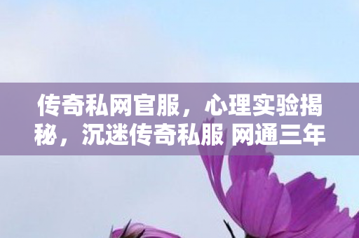 沉迷传奇私服 网通三年图片