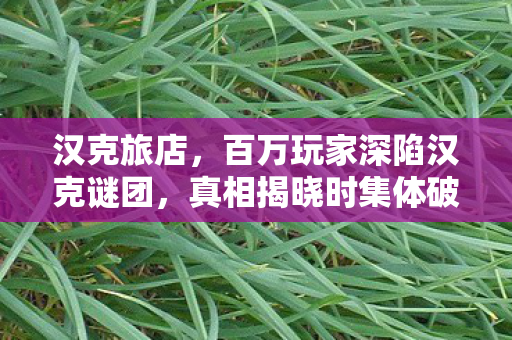 百万玩家深陷汉克谜团图片