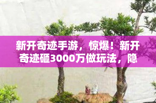 新开奇迹手游，惊爆！新开奇迹砸3000万做玩法，隐情曝光后真让人吓一跳！