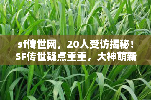 大神萌新齐喊绷不住图片