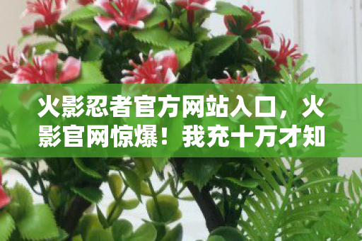火影忍者官方网站入口图片