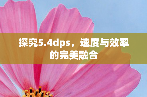 探究5.4dps,速度与效率的完美融合 探究5.4dps,速度与效率的完美融合