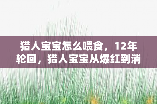 猎人宝宝从爆红到消亡的谜题图片