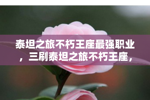 泰坦之旅不朽王座最强职业图片