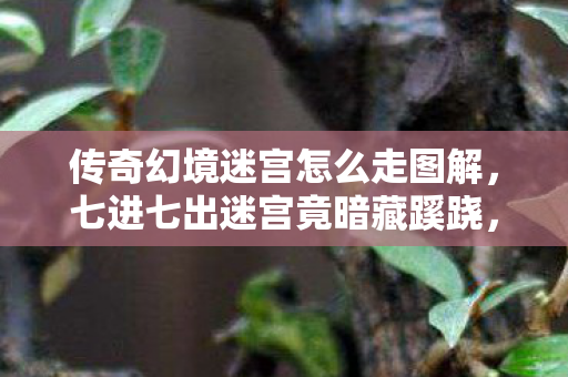 传奇幻境迷宫怎么走图解，七进七出迷宫竟暗藏蹊跷，真相揭晓后背发凉！