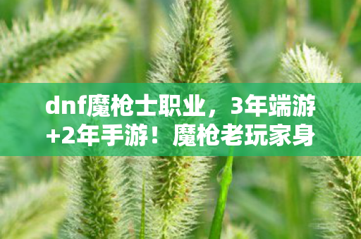 魔枪老玩家身份成谜图片