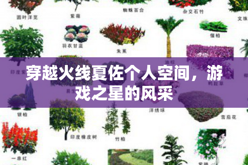 穿越火线夏佐个人空间，游戏之星的风采