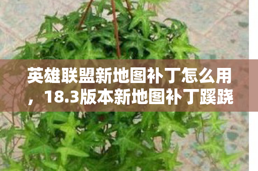 英雄联盟新地图补丁怎么用图片