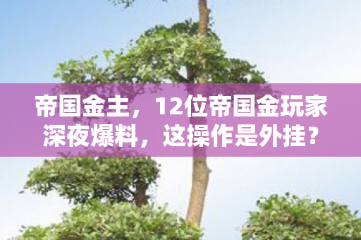 12位帝国金玩家深夜爆料图片
