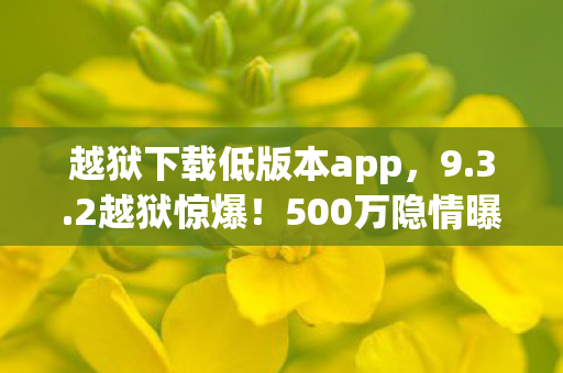 越狱下载低版本app图片