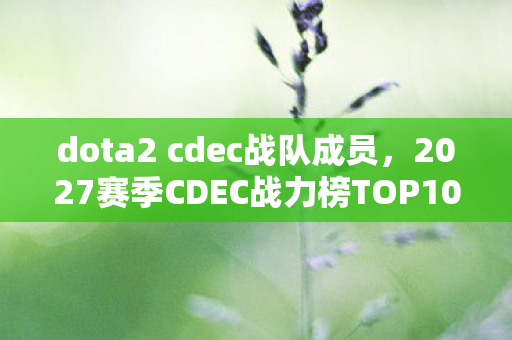2027赛季CDEC战力榜TOP10图片
