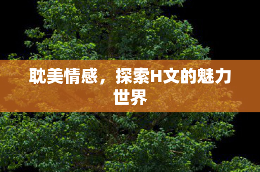 耽美情感,探索H文的魅力世界 耽美情感,探索H文的魅力世界
