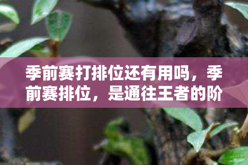 还是困住灵魂的悖论牢笼图片