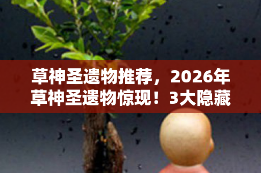 2026年草神圣遗物惊现图片