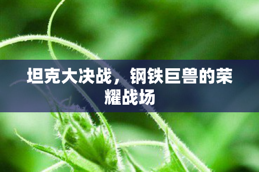 坦克大决战，钢铁巨兽的荣耀战场