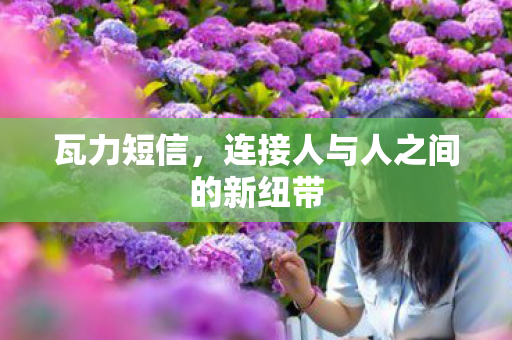 瓦力短信,连接人与人之间的新纽带 瓦力短信,连接人与人之间的新纽带