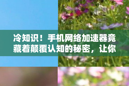 手机网络加速器竟藏着颠覆认知的秘密图片