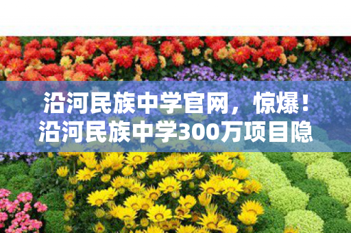 沿河民族中学300万项目隐情曝光图片