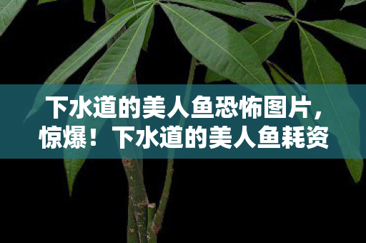 下水道的美人鱼耗资800万隐情曝光图片