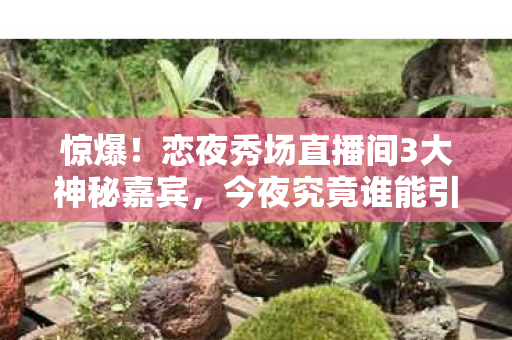 恋夜秀场直播间3大神秘嘉宾图片
