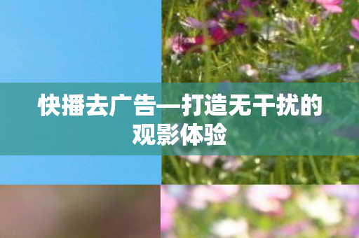 快播去广告—打造无干扰的观影体验 快播去广告—打造无干扰的观影体验