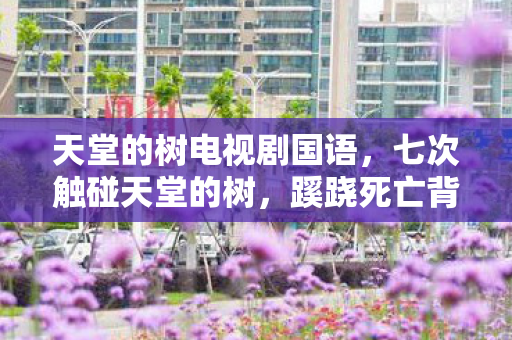 天堂的树电视剧国语图片