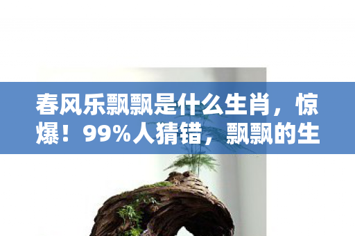 飘飘的生肖竟藏着这等玄机图片