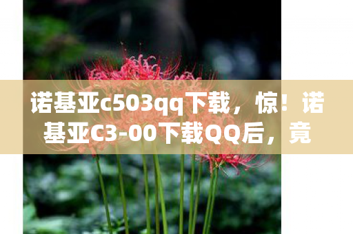 诺基亚c503qq下载图片