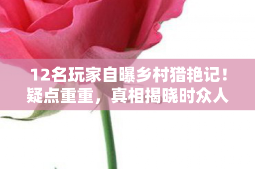 12名玩家自曝乡村猎艳记图片