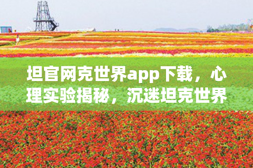 沉迷坦克世界的细思极恐自我麻醉之旅图片