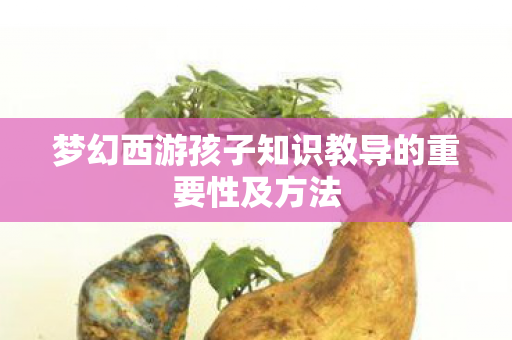 梦幻西游孩子知识教导的重要性及方法 梦幻西游孩子知识教导的重要性及方法