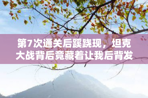 坦克大战背后竟藏着让我后背发凉的真相图片