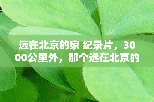 那个远在北京的家藏着多少不为人知的秘密图片