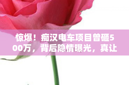 痴汉电车项目曾砸500万图片