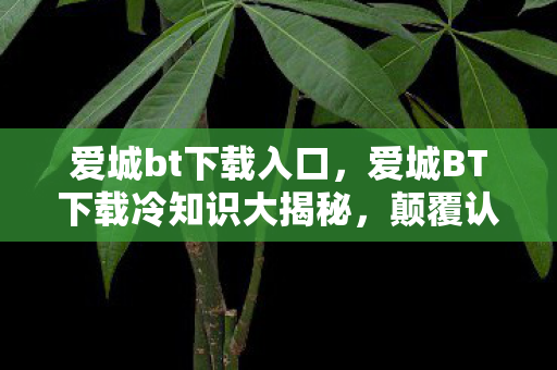 爱城BT下载冷知识大揭秘图片