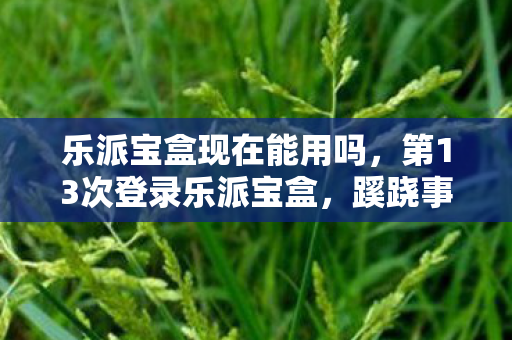 第13次登录乐派宝盒图片