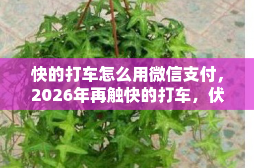 快的打车怎么用微信支付图片