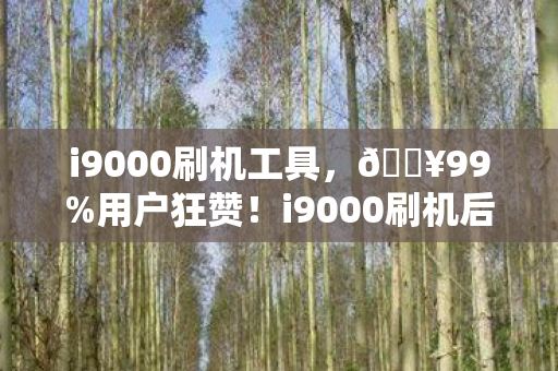 i9000刷机后流畅度飙升300图片