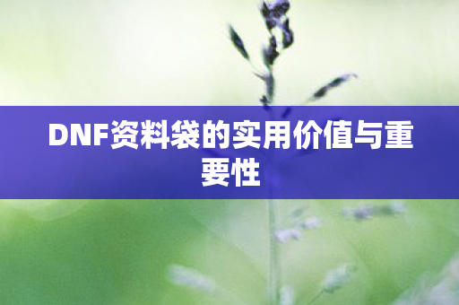 DNF资料袋的实用价值与重要性 DNF资料袋的实用价值与重要性