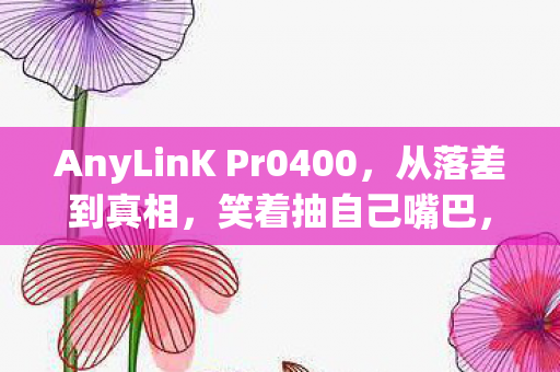 AnyLinK Pr0400图片