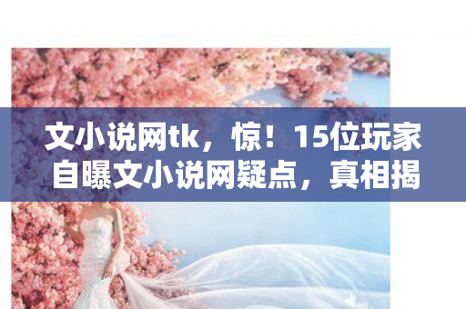 15位玩家自曝文小说网疑点图片
